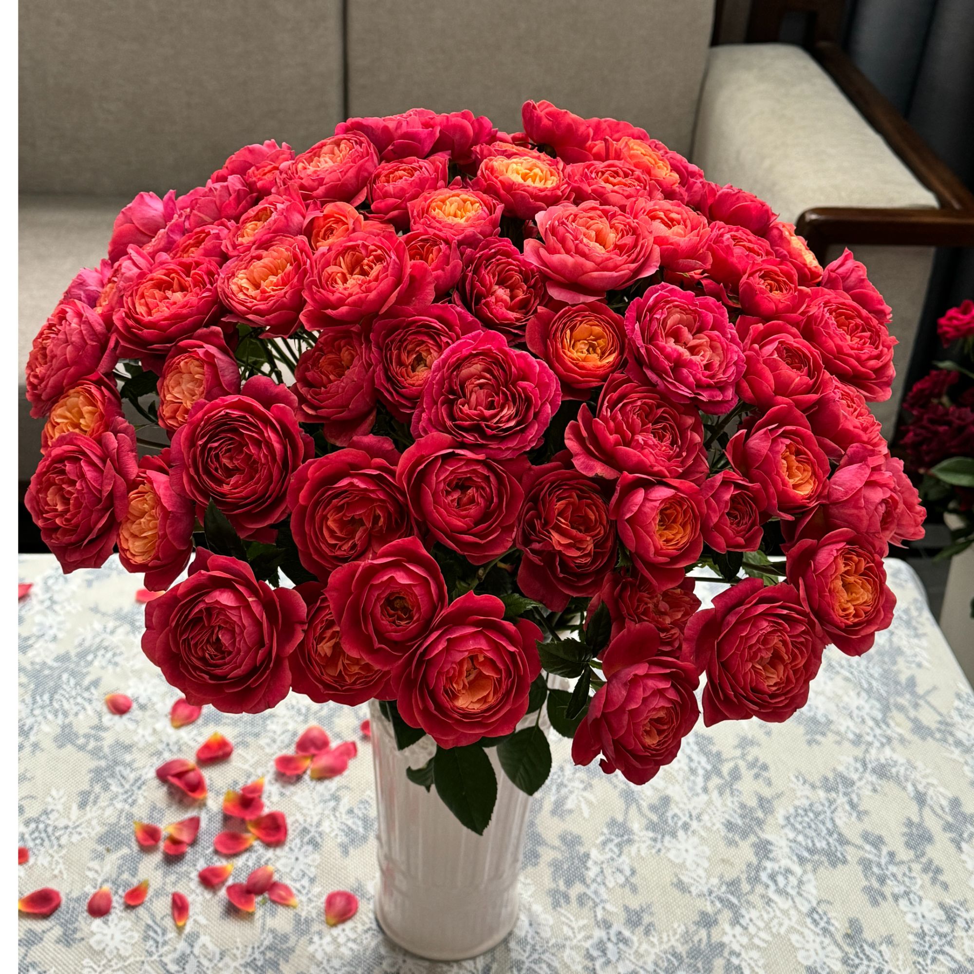 【陌上花开】绝色果汁-稀有多头玫瑰（收到请带包装醒花）