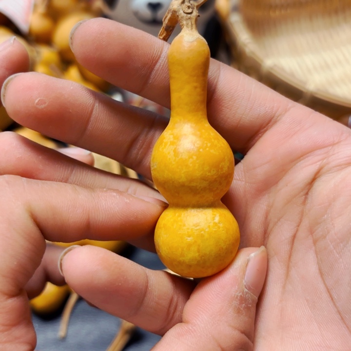 天****机8888888888888888888