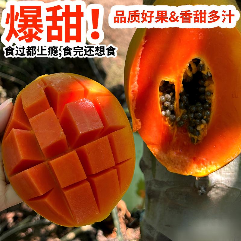 湛鲜生冰糖心红心木瓜多汁细腻丝滑软糯包邮 图片 1