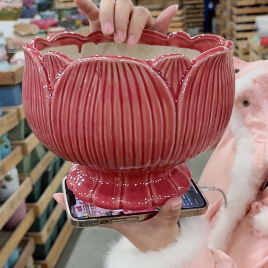 红陶直播间已有一年里