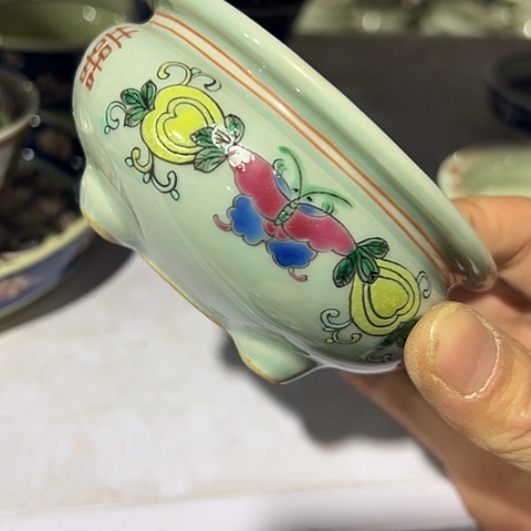 一起为梦想全力以赴呀我们也可以看到你