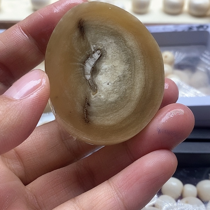 贝壳手串/手链49成40.7社牛切片