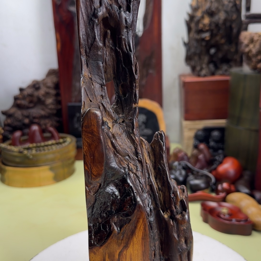 大果紫檀（缅甸花梨）花****学