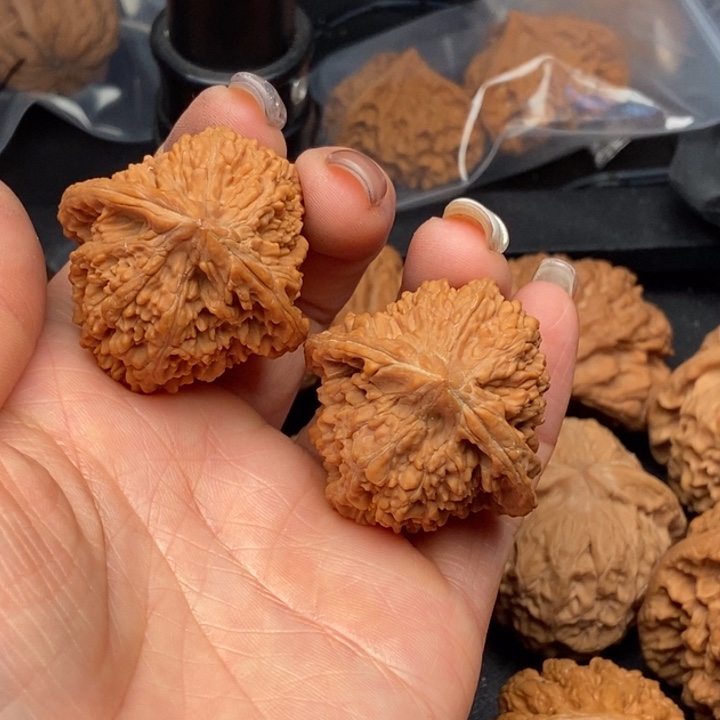 瓶***哥文玩核桃把件满天星