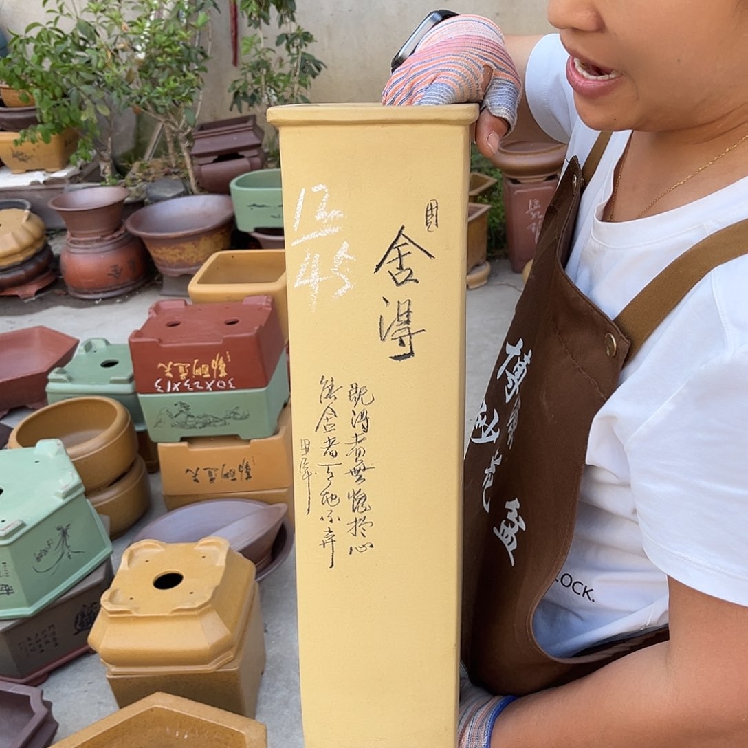 紫砂花盆盆景艺术