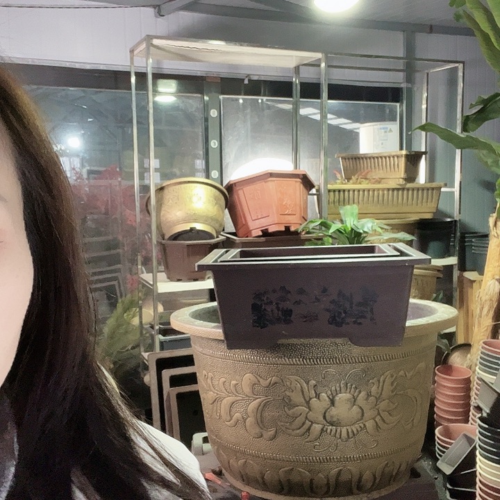 50盆景盆2个60元包邮