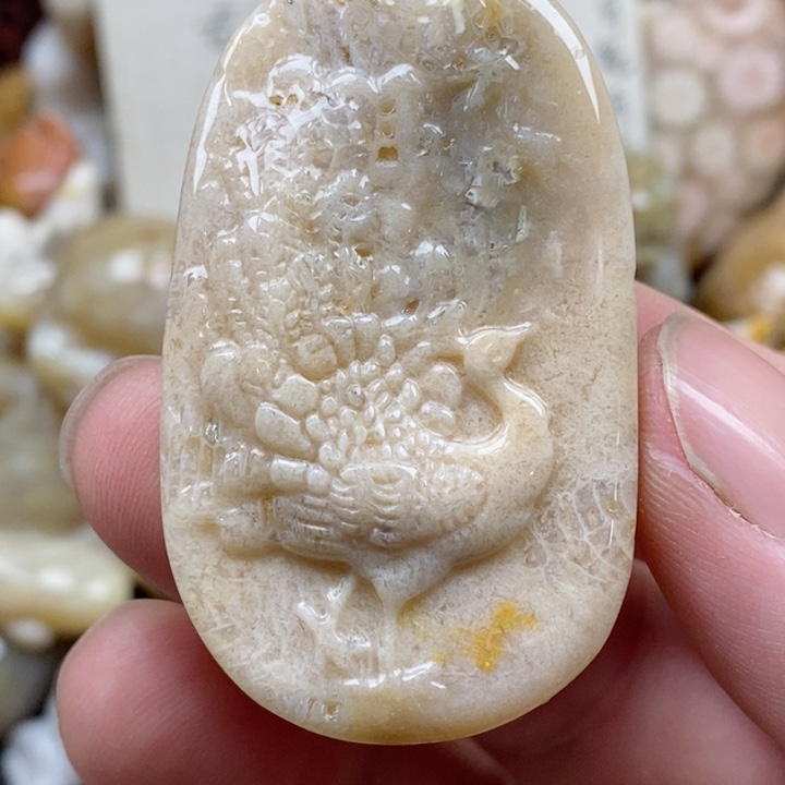 颈饰未镶嵌硅化珊瑚（珊瑚玉）有瑕 小