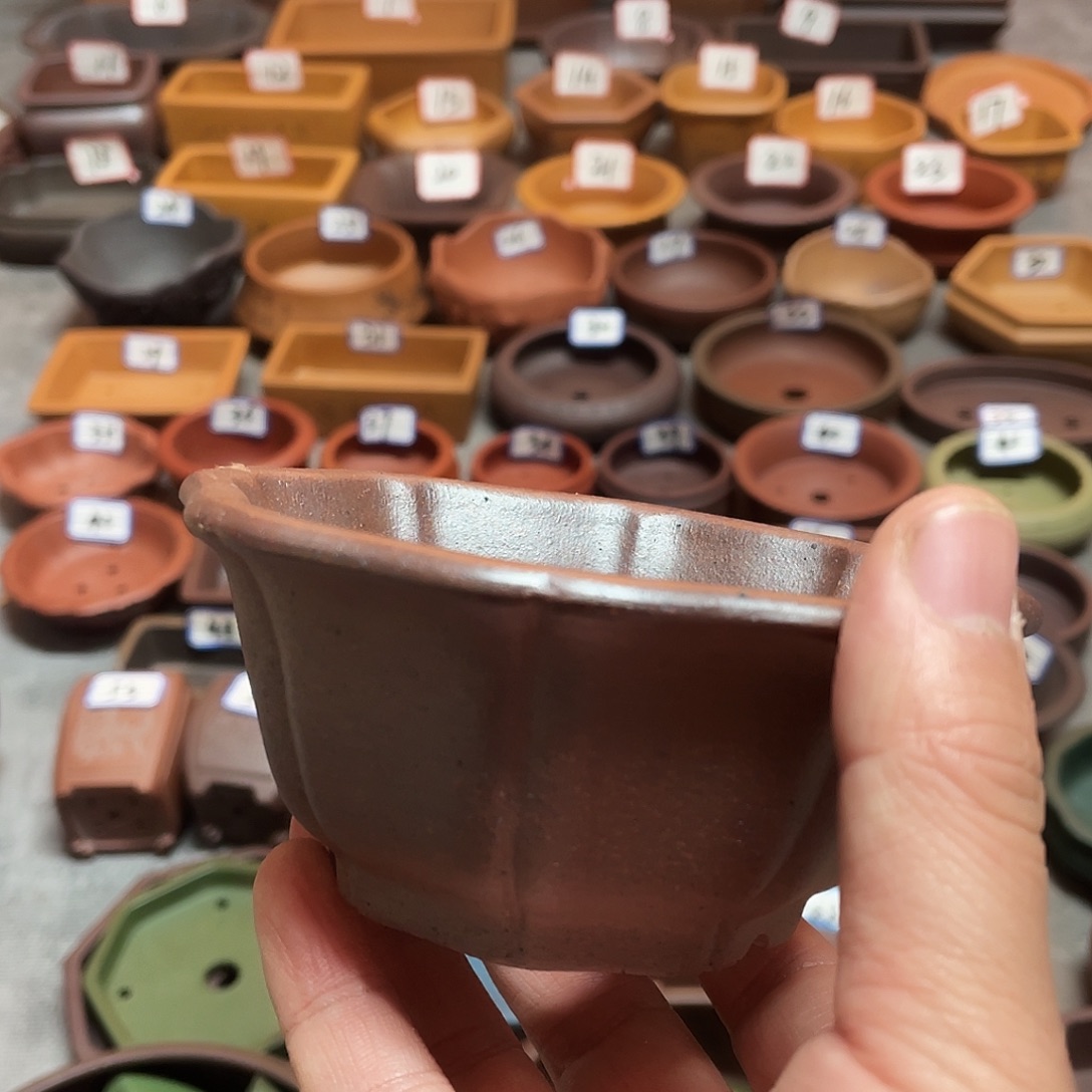 紫砂小盆10*4.5cmmmm