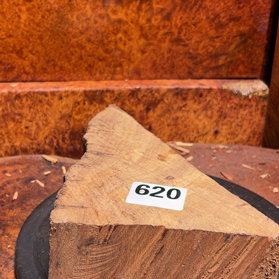 大果紫檀（缅甸花梨）