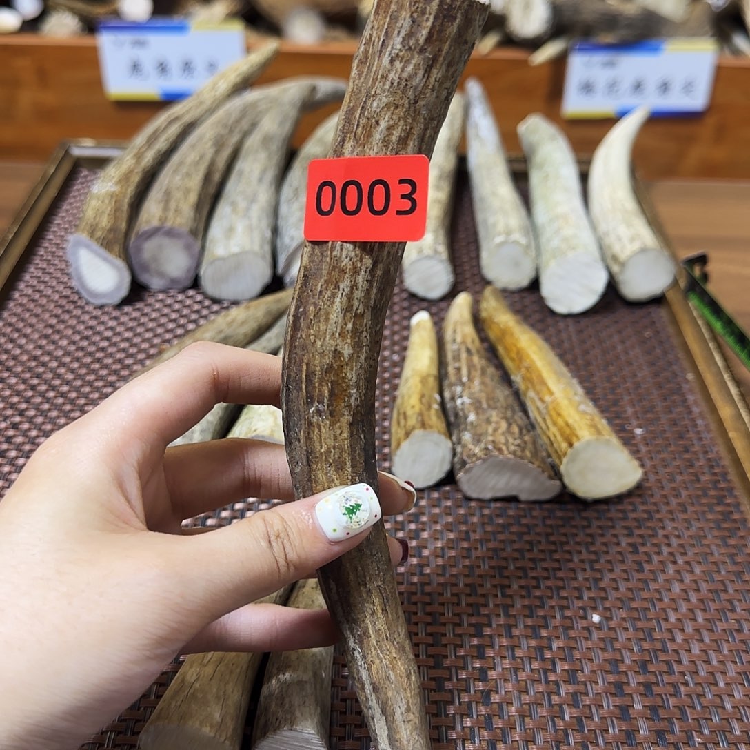 手串/手链鹿骨角尖0003