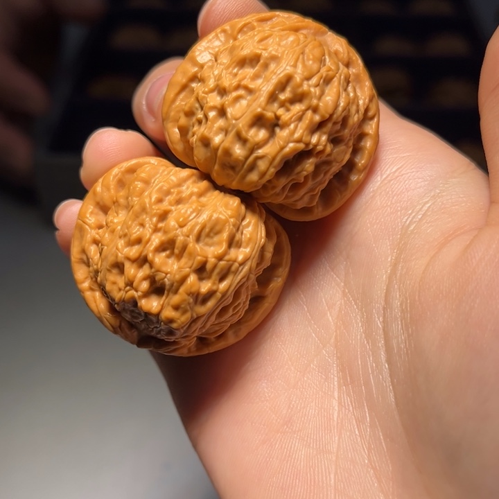 文玩核桃把件白狮子080