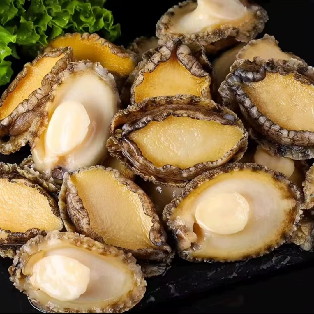 【小贝】速冻鲍鱼肉5-6cm大号去壳去内脏纯鲍鱼肉