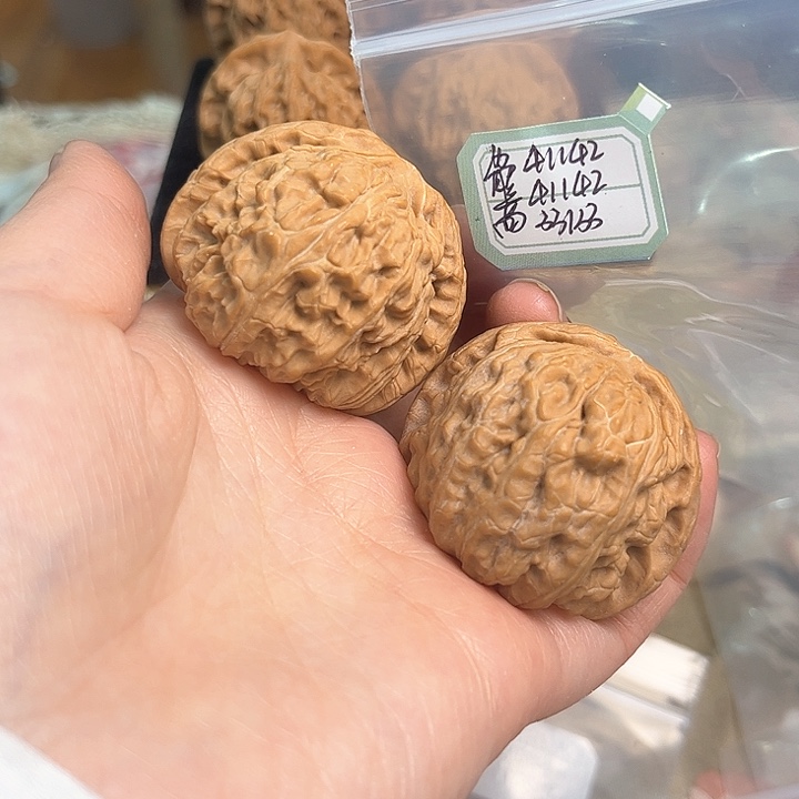 文玩核桃把件白狮子