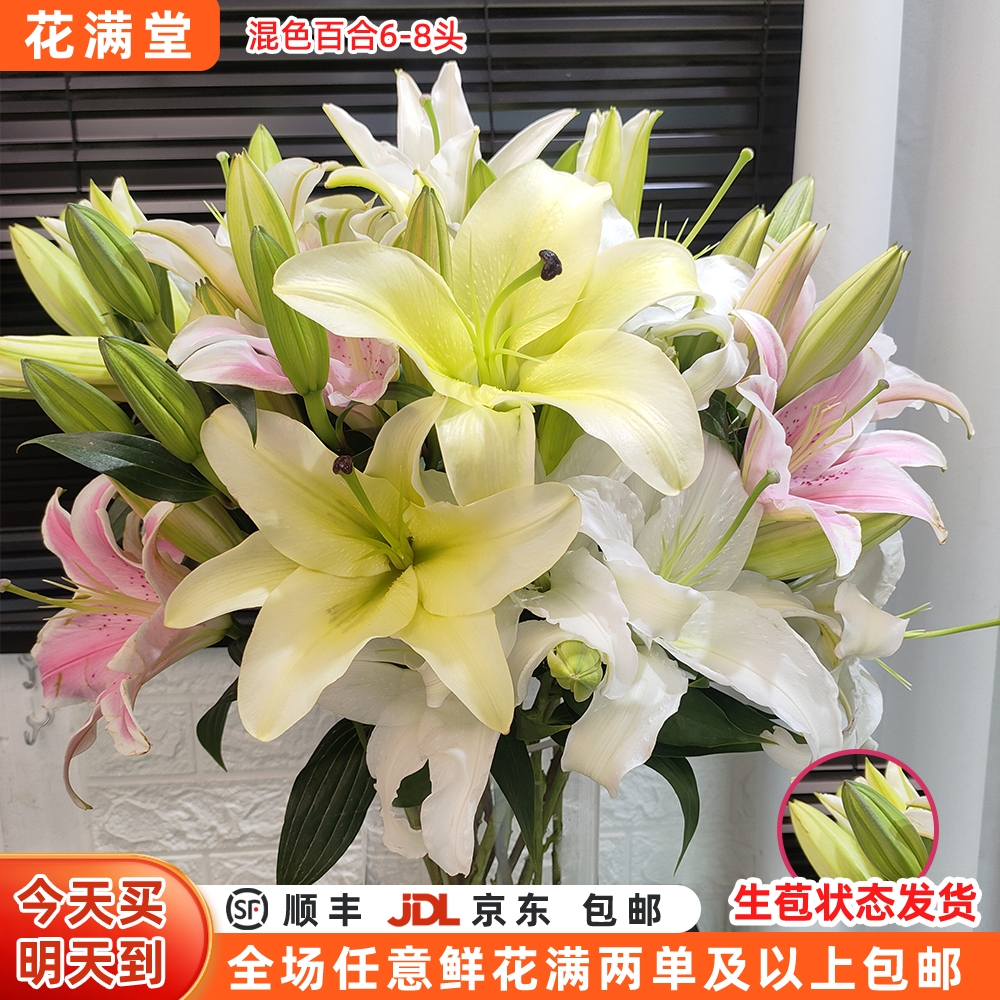 特价【次日达·五彩香水百合加量版】混色百合10-12头·全场两单鲜花顺丰包邮·基地直发·批发·家居花DIY·次日达