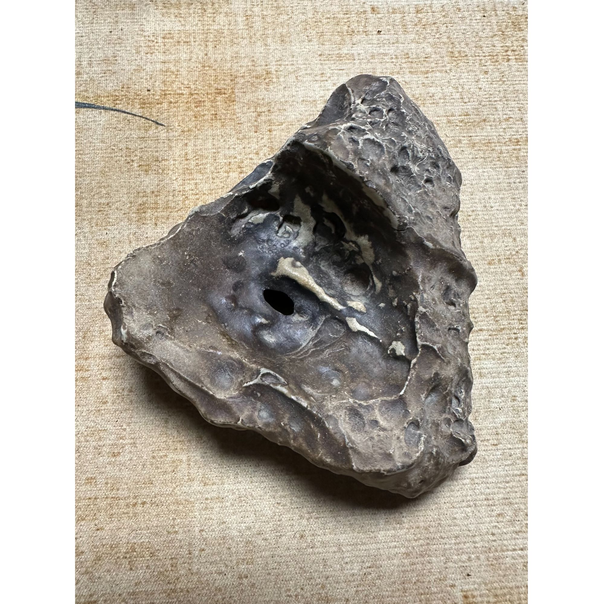 迦境戈壁石摆件 可观赏可收藏 1100-6888 不包邮