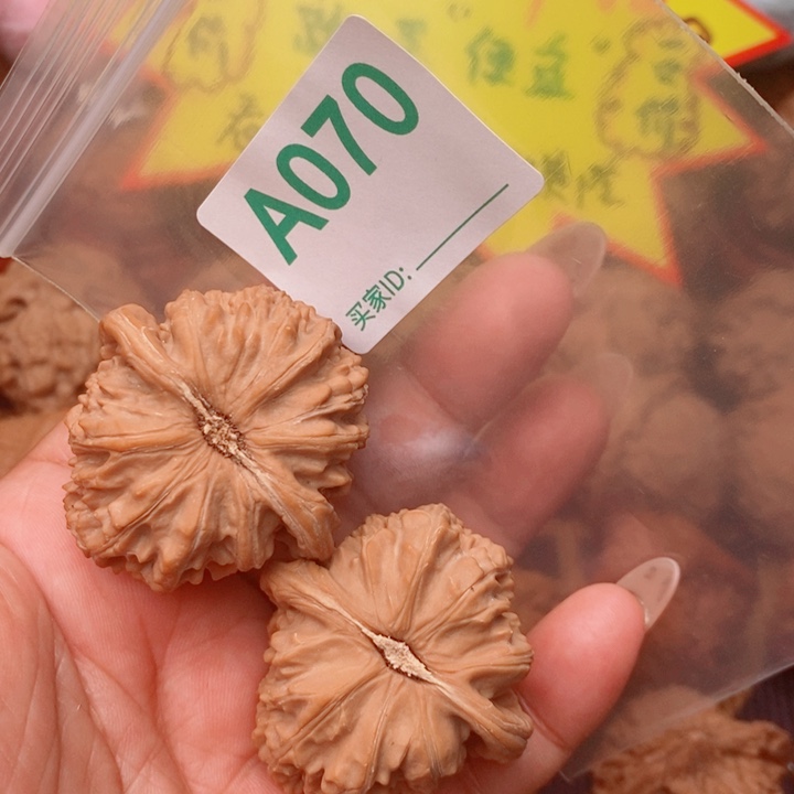 白狮子41尺070号123