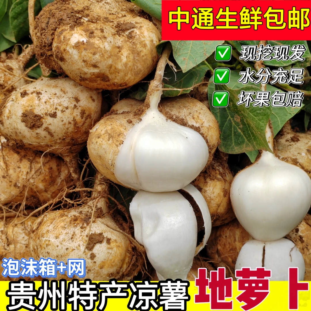 新鲜贵州地萝卜凉薯白地瓜当季蔬菜水果皮薄肉厚脆甜多汁水分充足