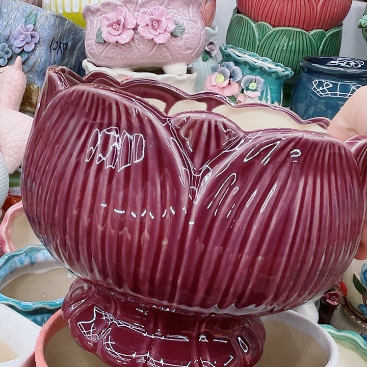多肉植物陶瓷花盆