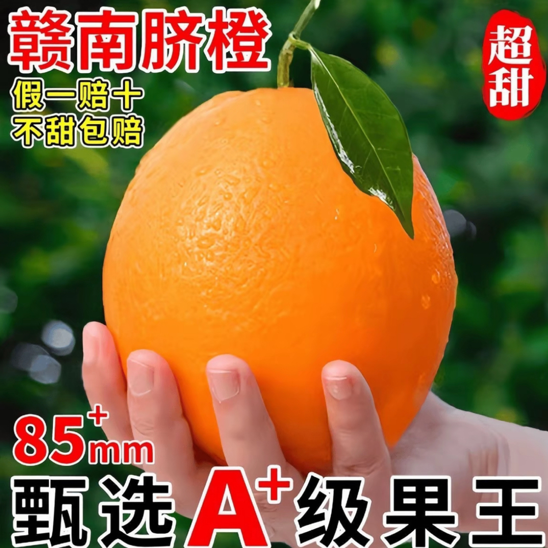 正宗赣南脐橙(A级果王大果）纯甜