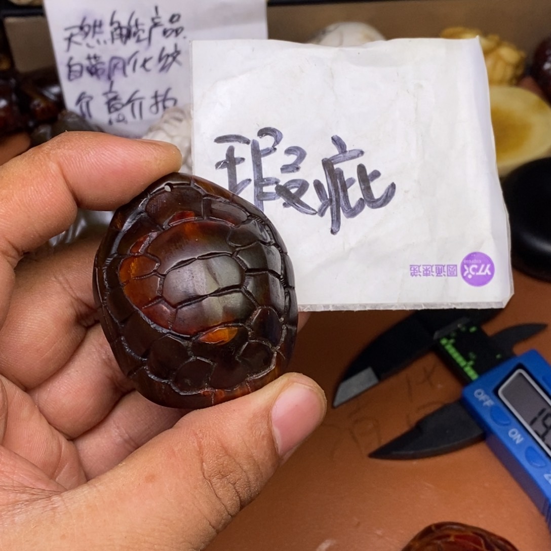 其他驼骨人工样子