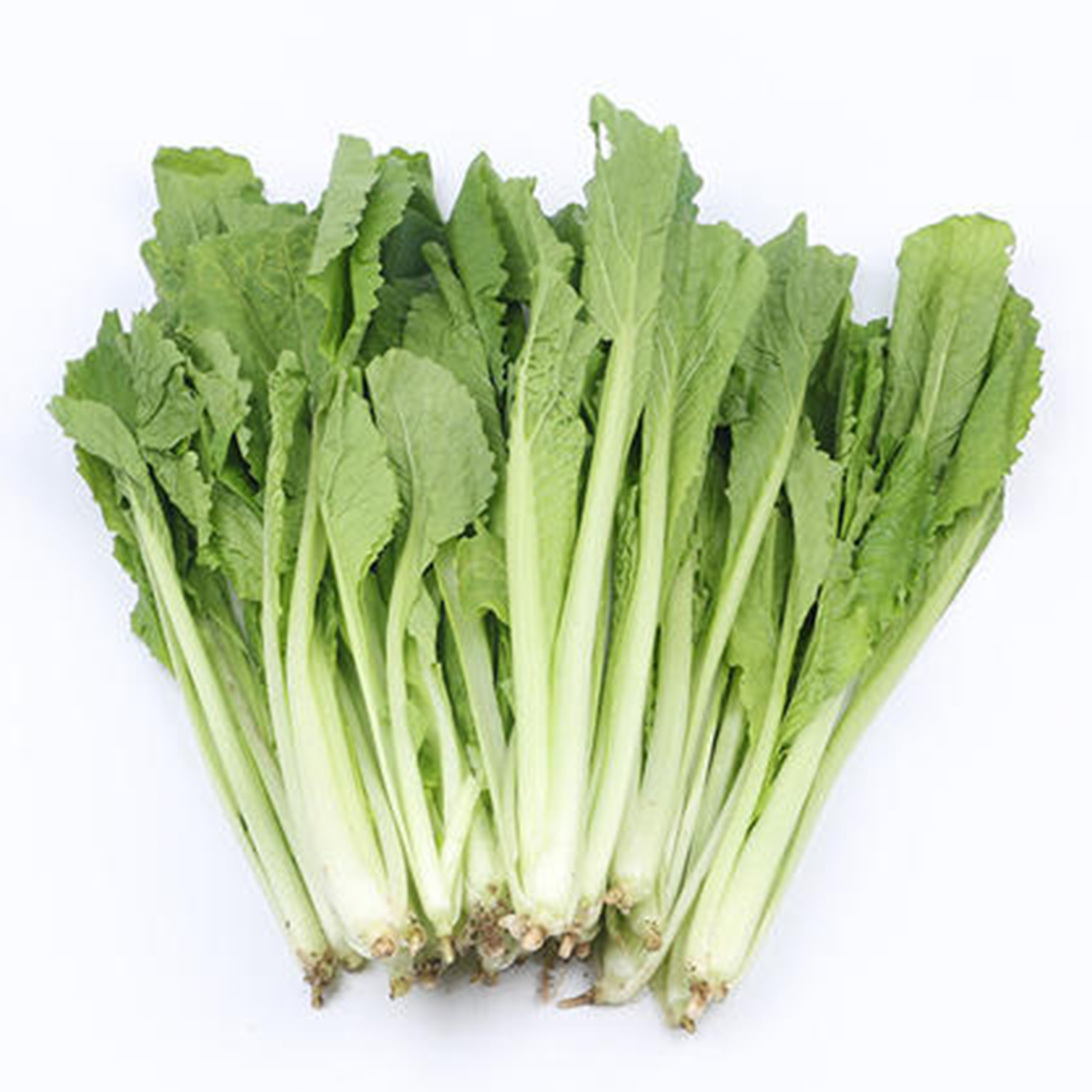 新鲜毛白菜500克/份白菜