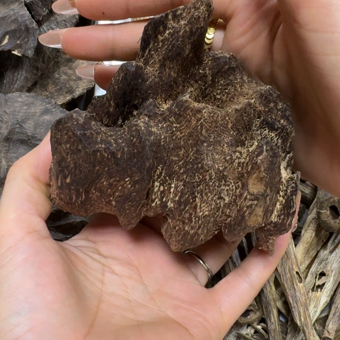 沉香沉香枕y****y块料海南沉香虫漏包头43.7克