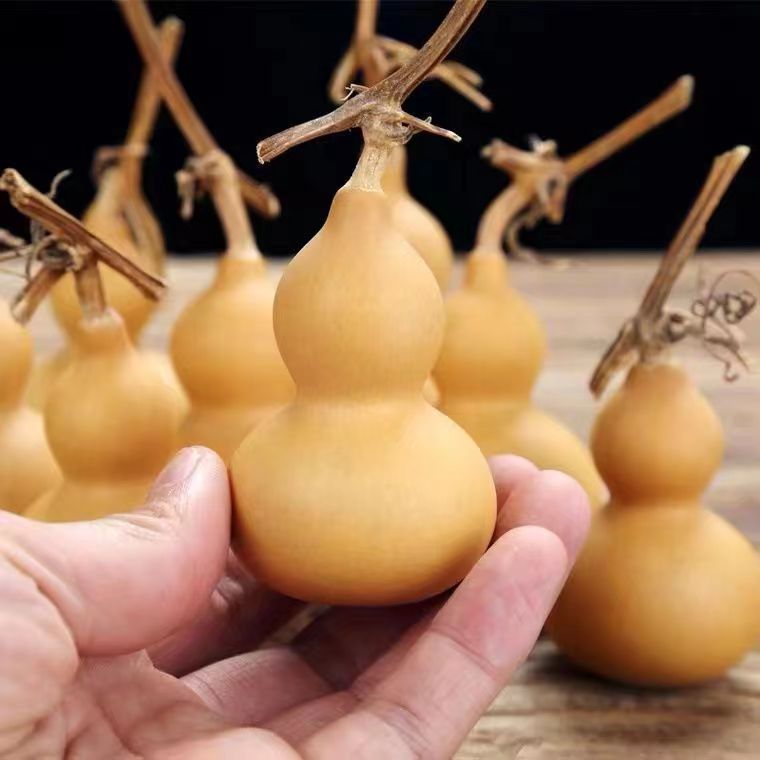 天然小葫芦手把件可盘玩可做工div的