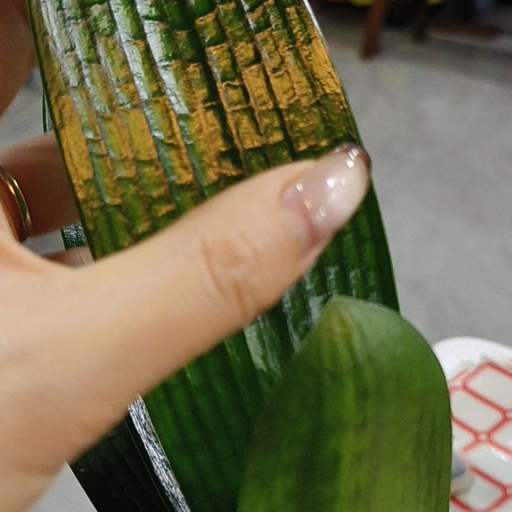 完全开放给爷整笑了也可以