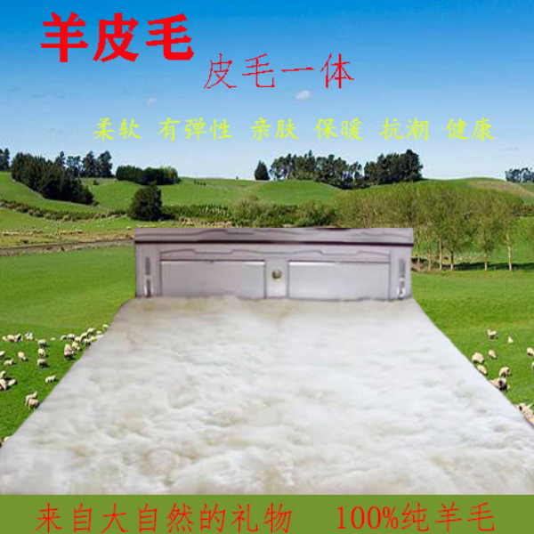 皮毛一体地毯加厚家用客厅沙发垫卧室床边垫单人床垫