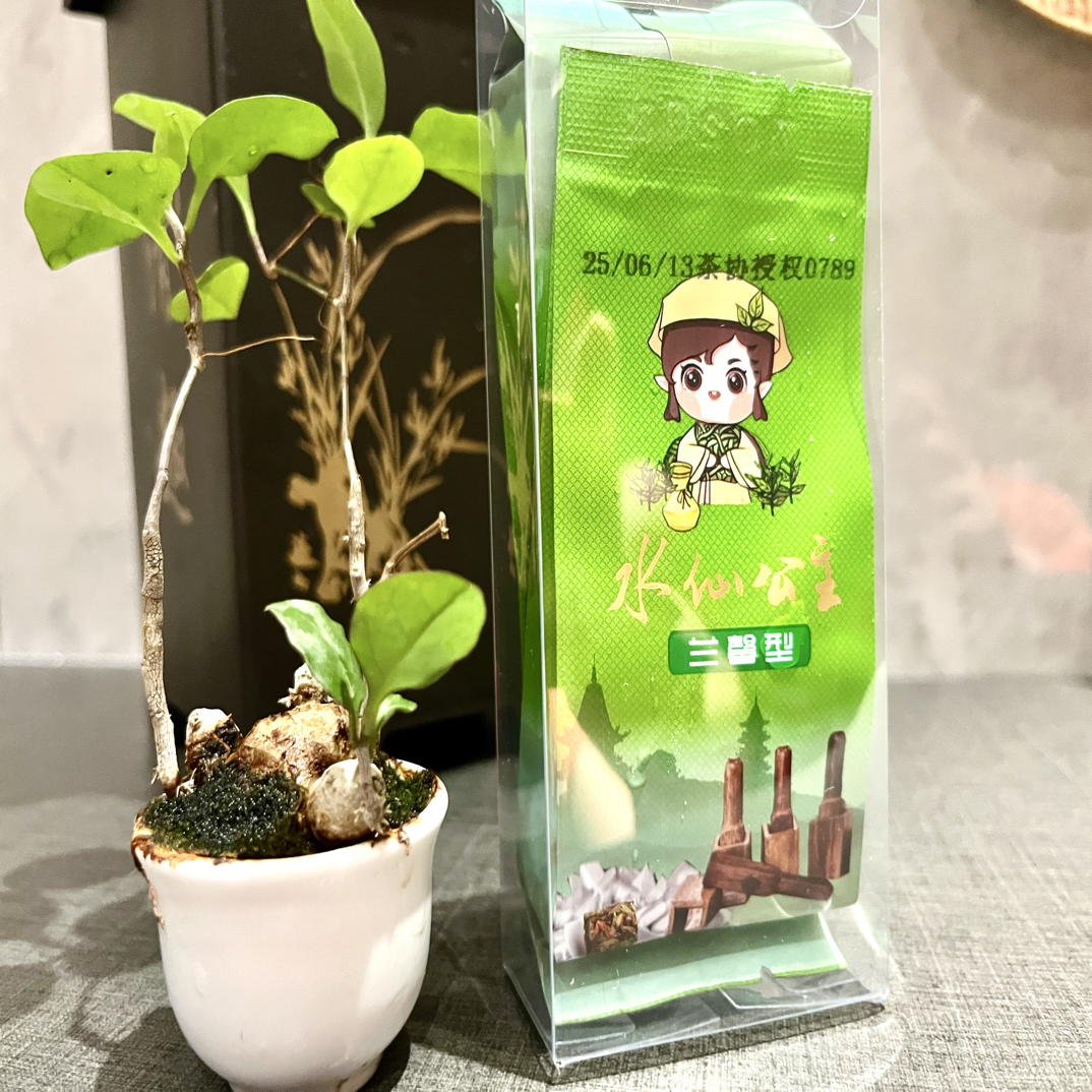 漳平水仙.水仙公主（两泡品鉴装）漳平茶协天花板赛事，不支持试喝