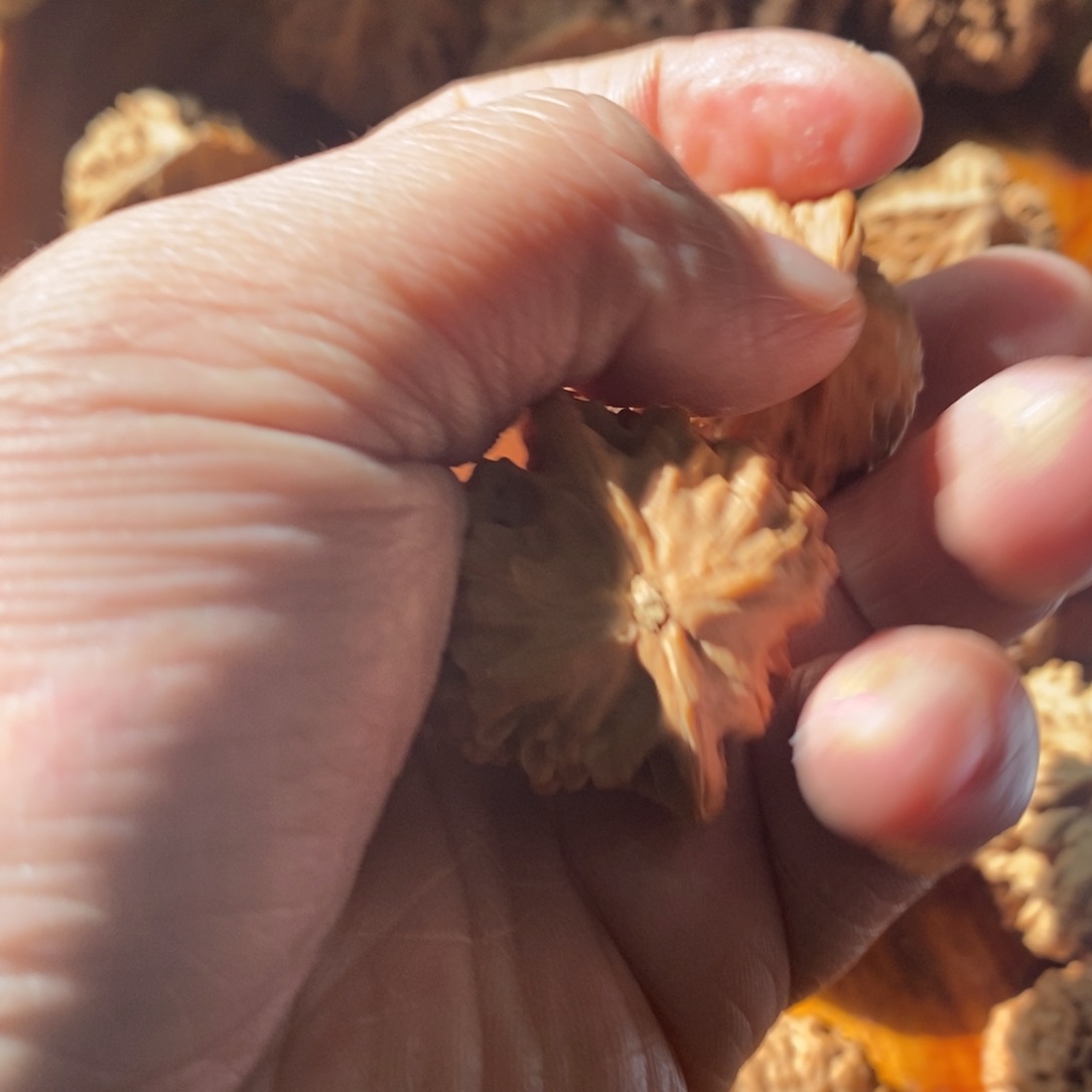 秦岭南侧和秦岭北
