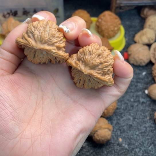 吊坠文玩核桃9蛇头