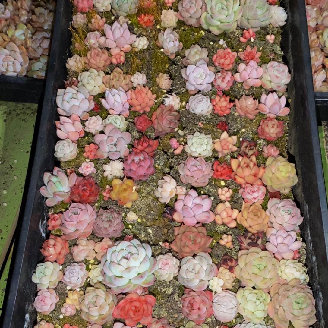 022度左右，你在哪呢