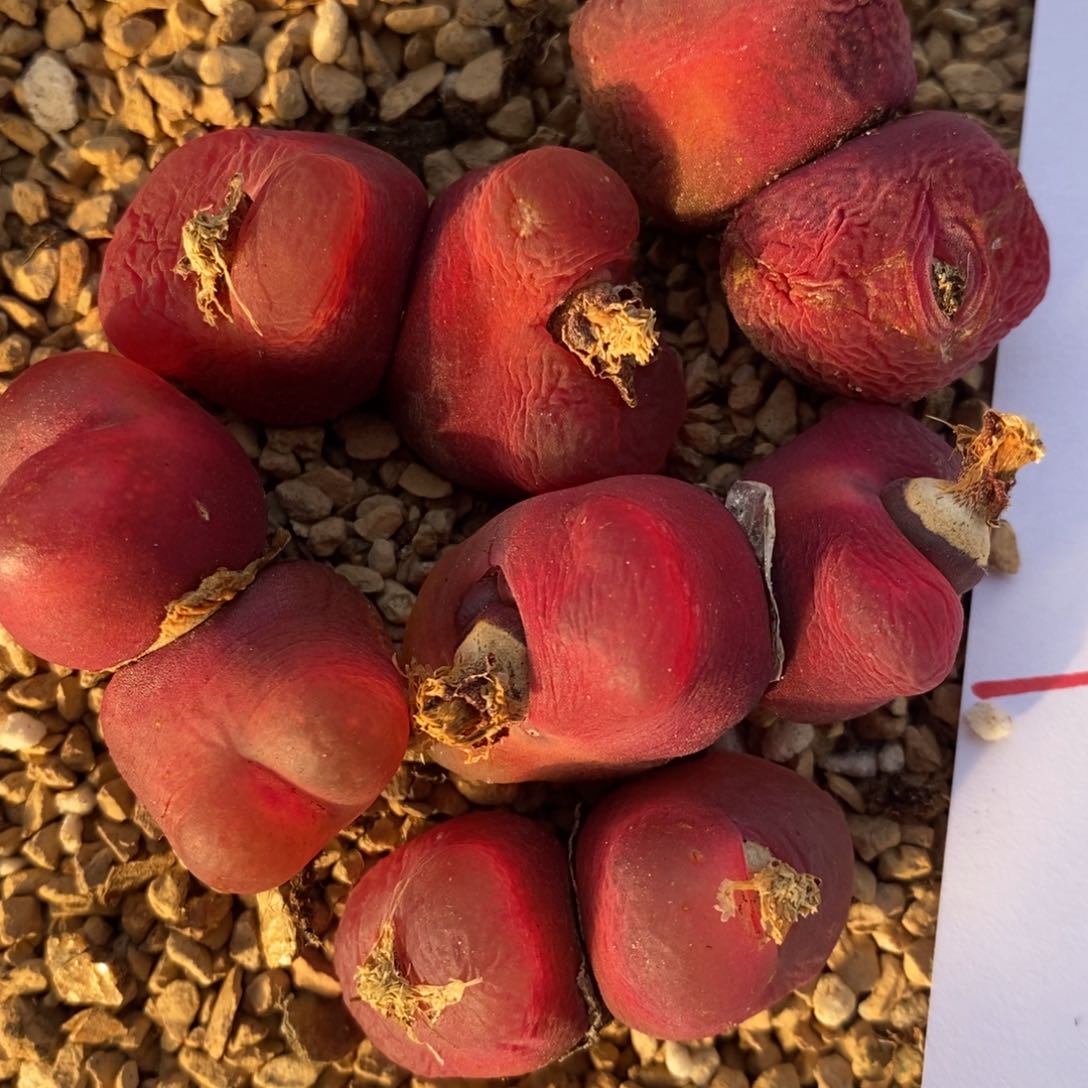 1022一组一组一组