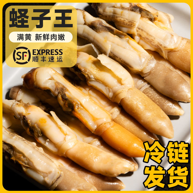 鲜嫩蛏子肉饱满美味新鲜海鲜水产人工去沙含保护冰