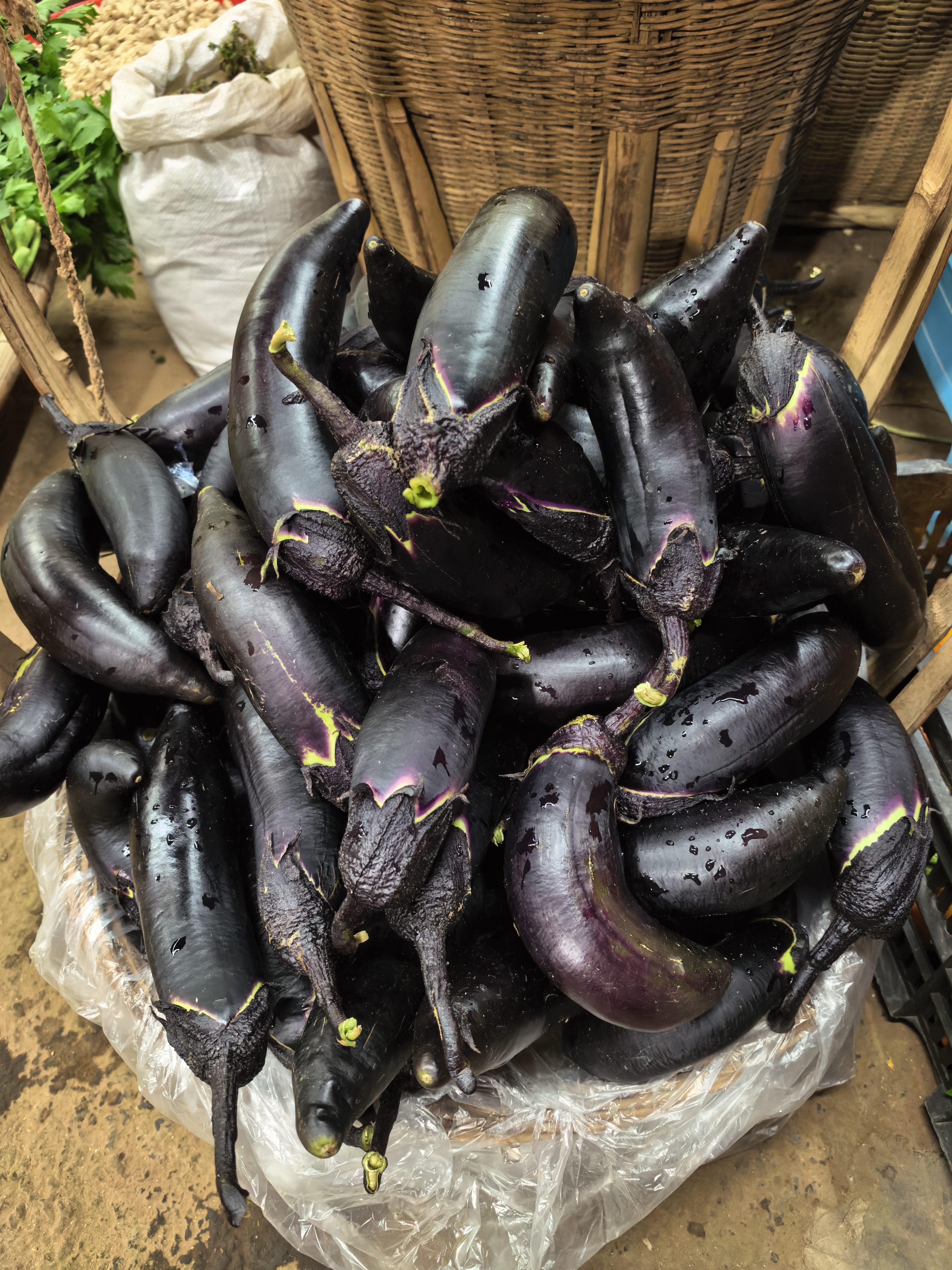 云南露天新鲜土茄子