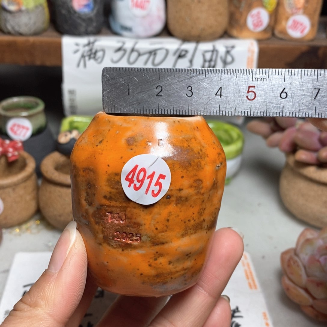 红陶拍5送一个小