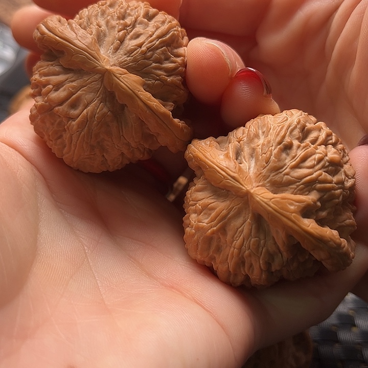 文玩核桃把件45白狮子