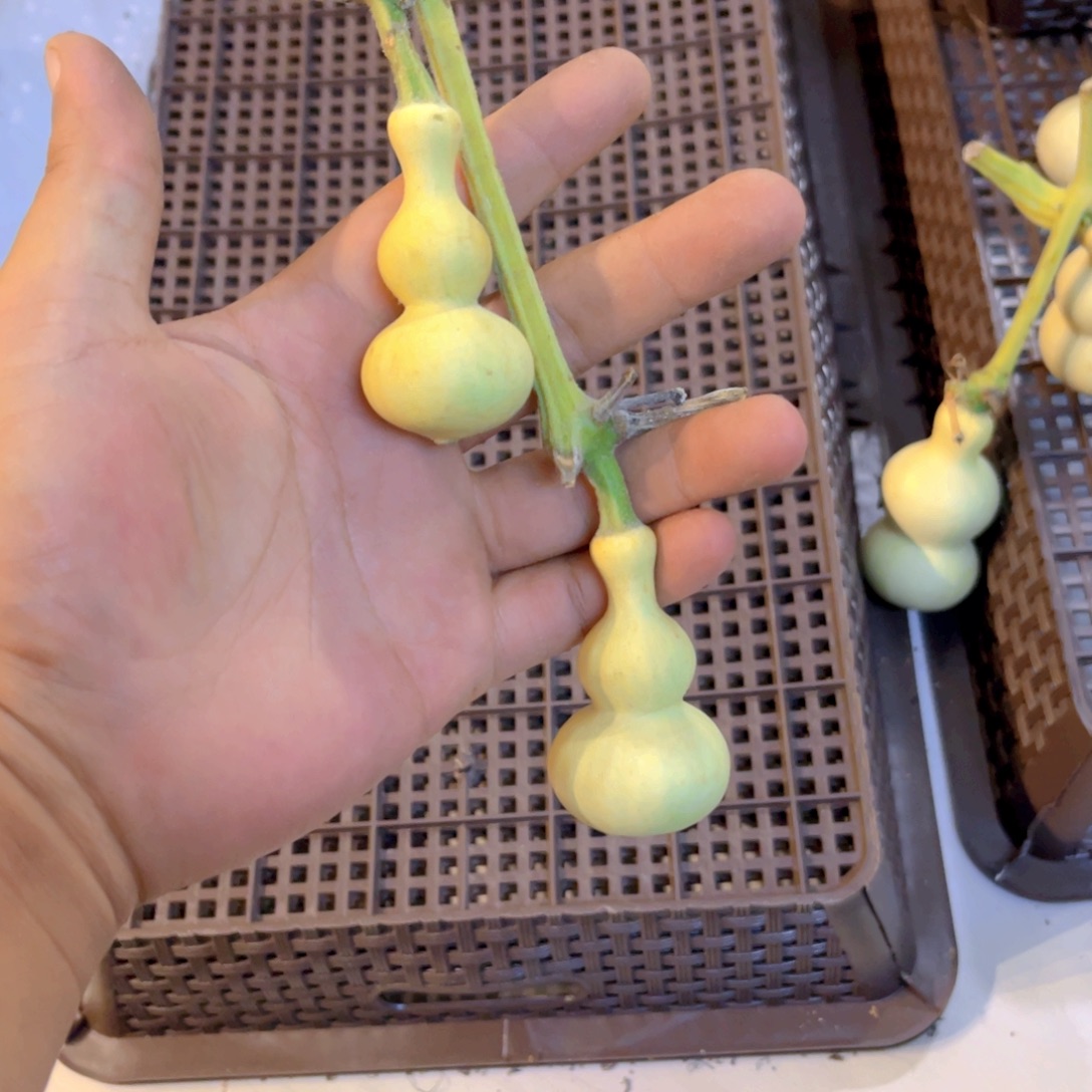 好****感谢大哥支持兄弟