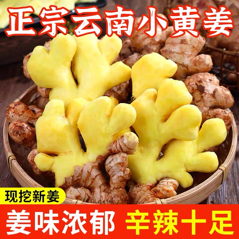 云南高山小黄姜产地直销新鲜生姜洋姜老姜批发沙姜水果姜嫩姜蔬菜