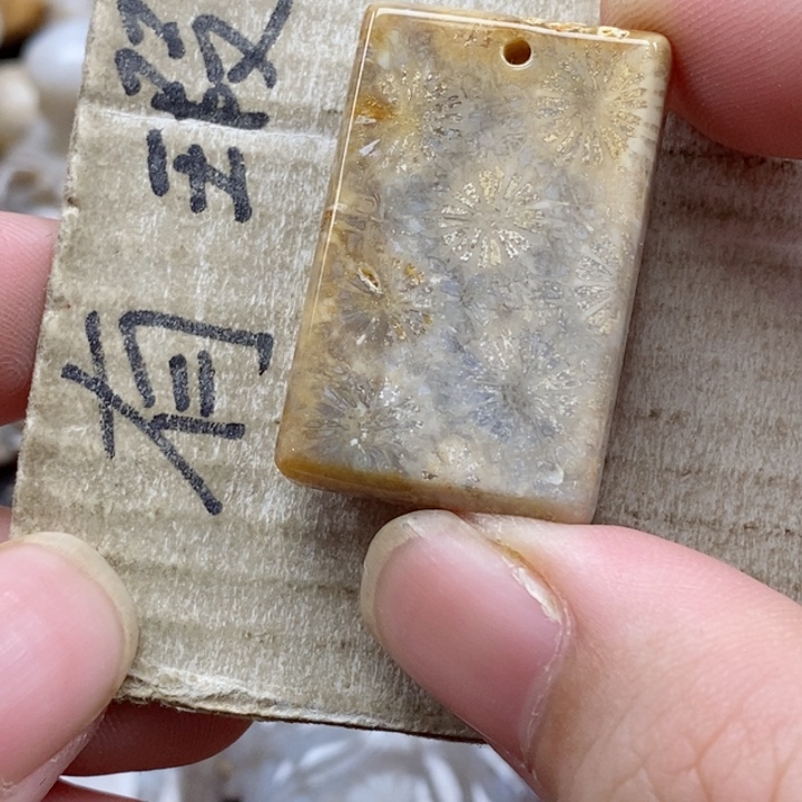 颈饰未镶嵌硅化珊瑚（珊瑚玉）囍*·