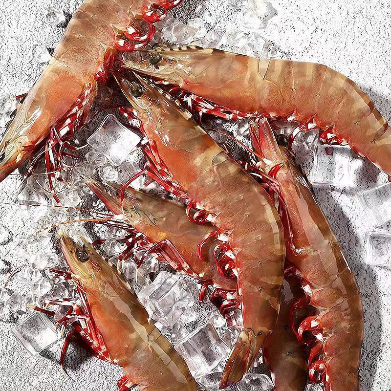 野生大规格红爪虾 极速锁鲜发货 全国顺丰冷链包邮 6-8条/斤