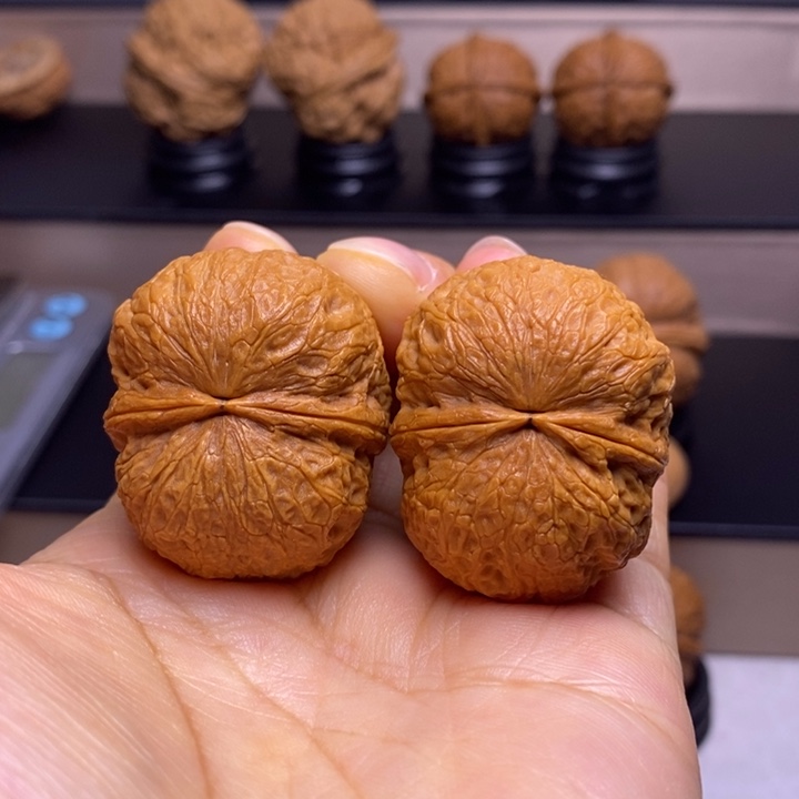 文玩核桃把件鹦鹉元宝56