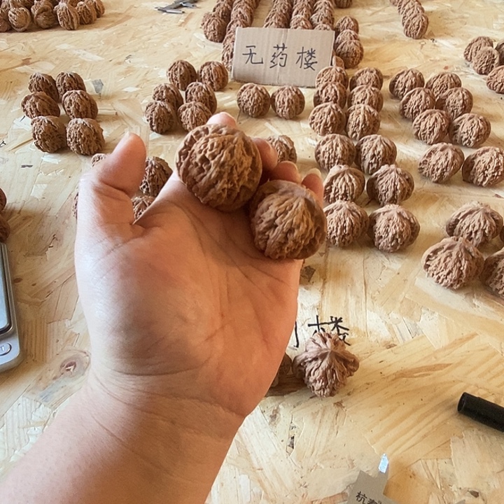 凱****核桃全品无修无药45楼