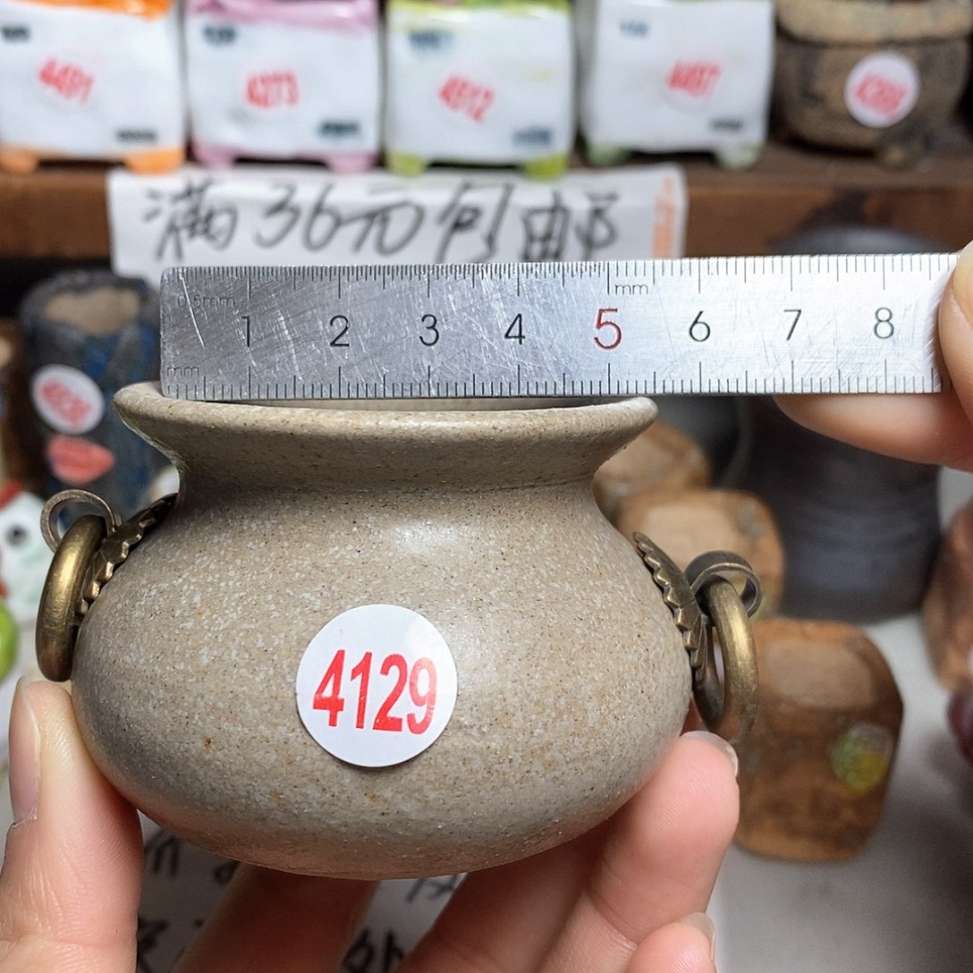 红陶拍5送一个小