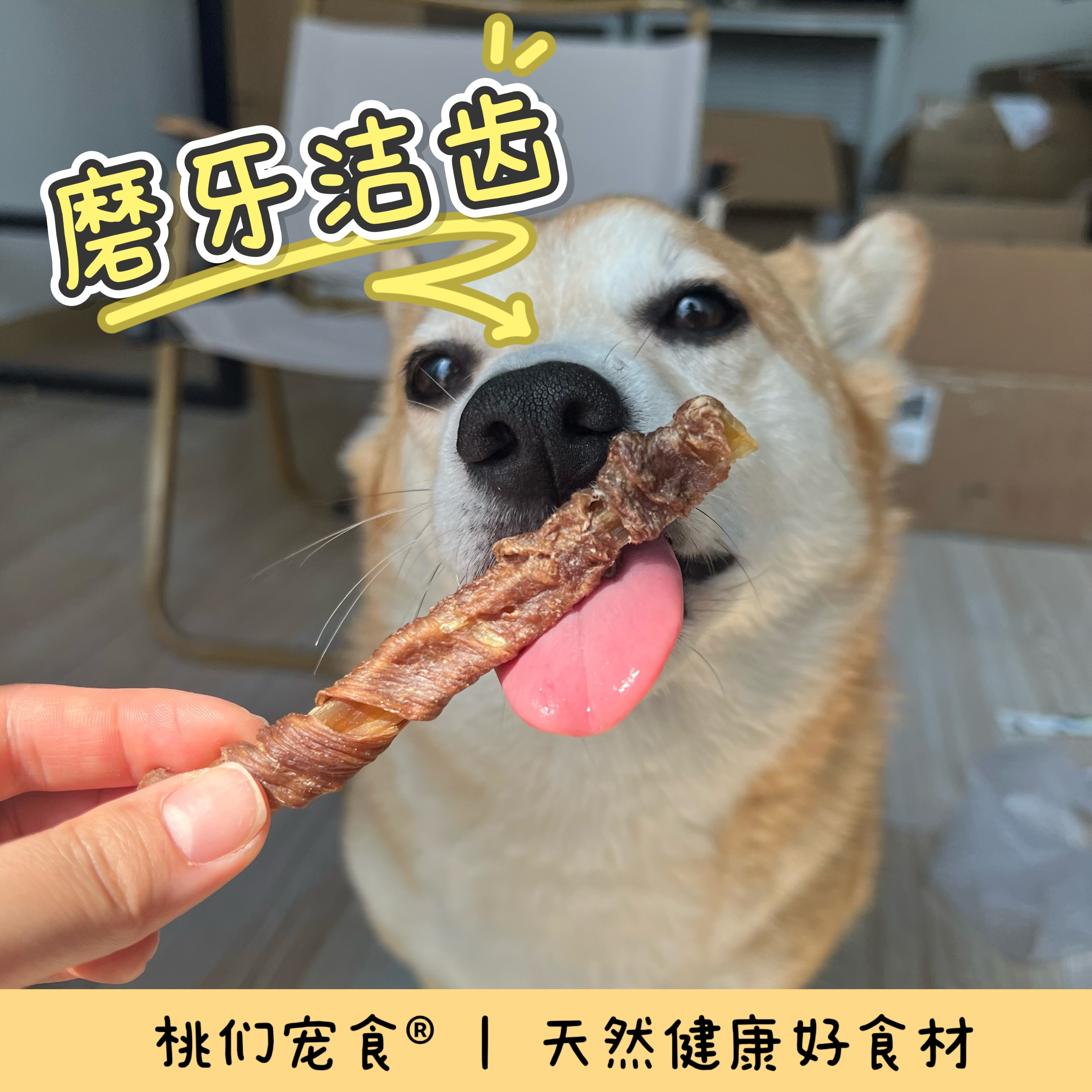 【牛牛板筋棒】奶香耐磨中小型犬磨牙洁齿狗狗零食小桃家宠物零食