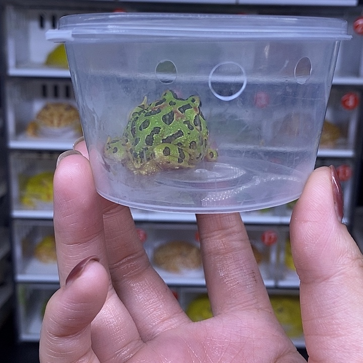 特价秒杀现货供应瑕疵