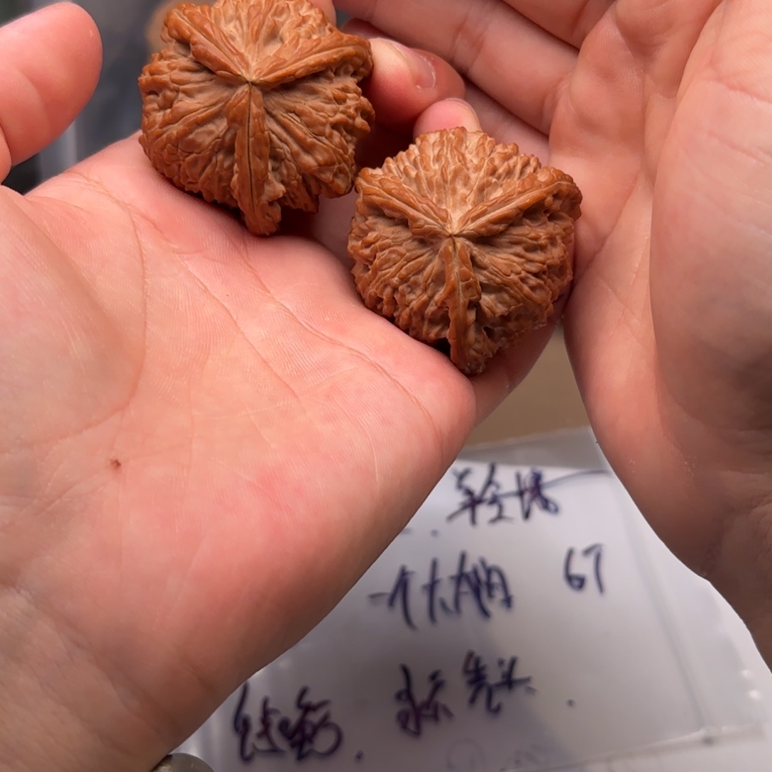 文玩核桃吊坠核桃