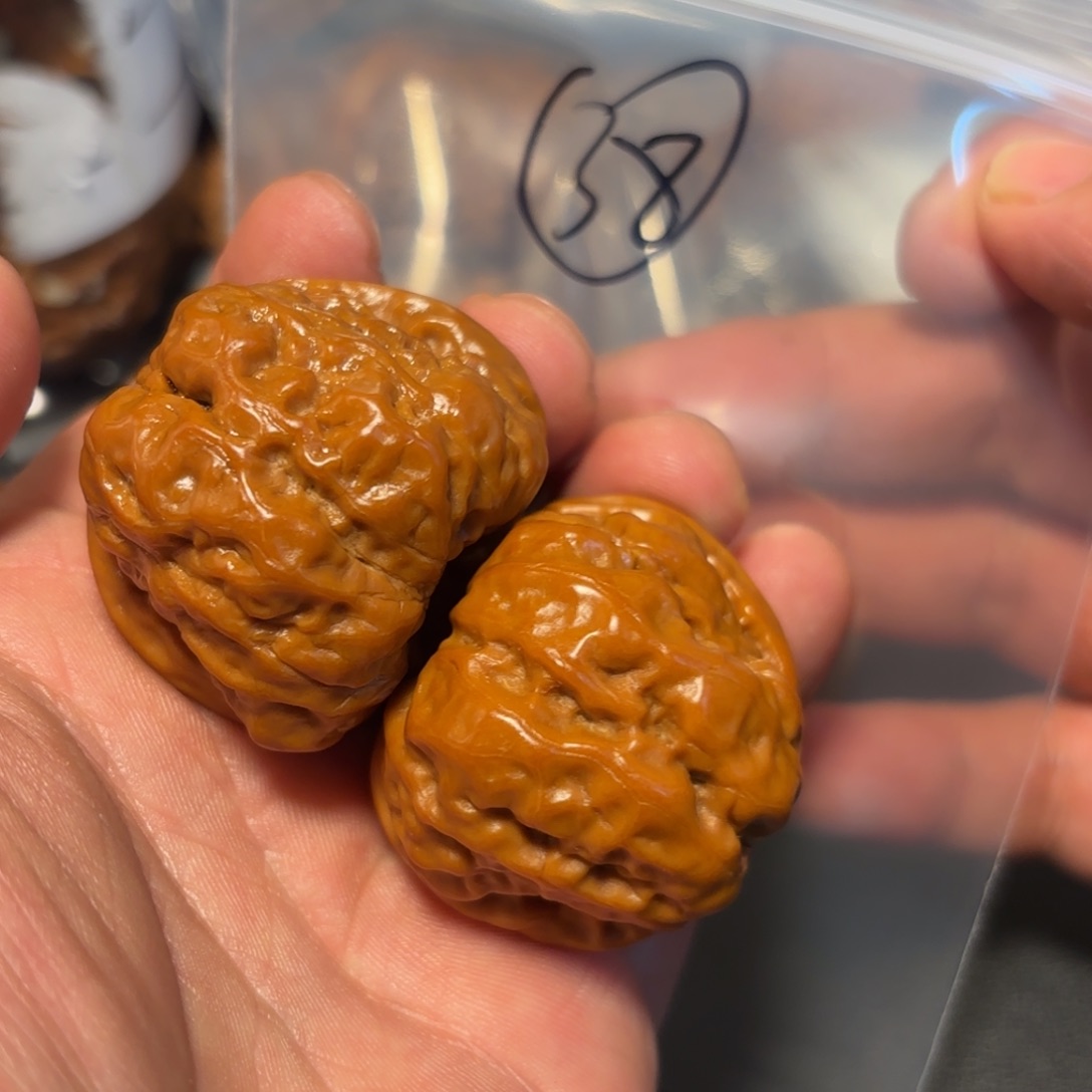 核桃其他蛤蟆头的