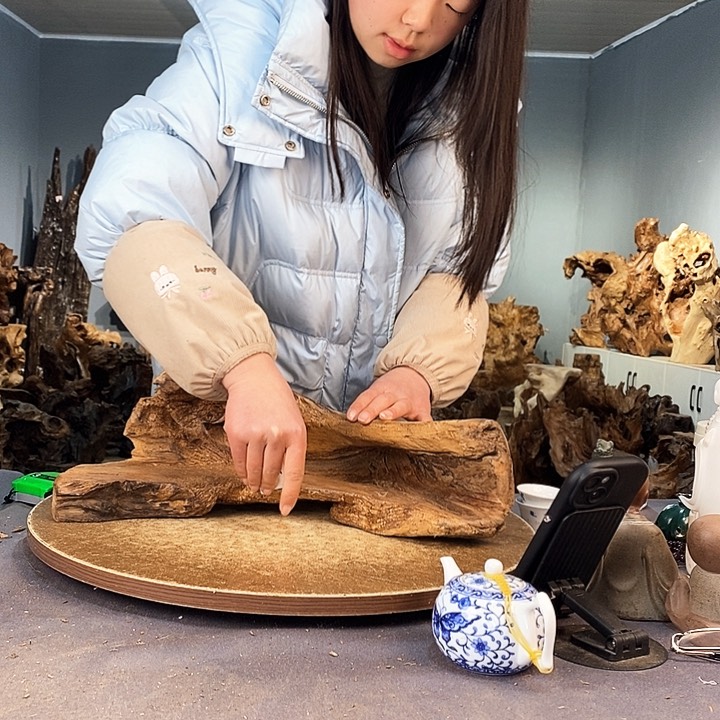 茶盏梦*441株木的随行的根艺